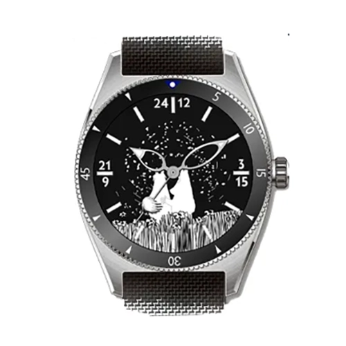 Pook Watches Moomin Edition Pyrstötähti