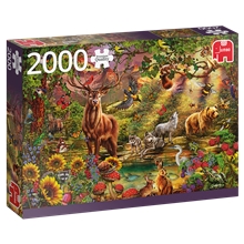 Palapeli 2000 Palaa Magic Forest
