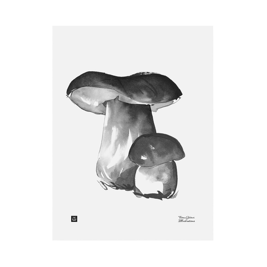 Teemu Järvi Illustrations Tatti juliste, 30 x 40 cm
