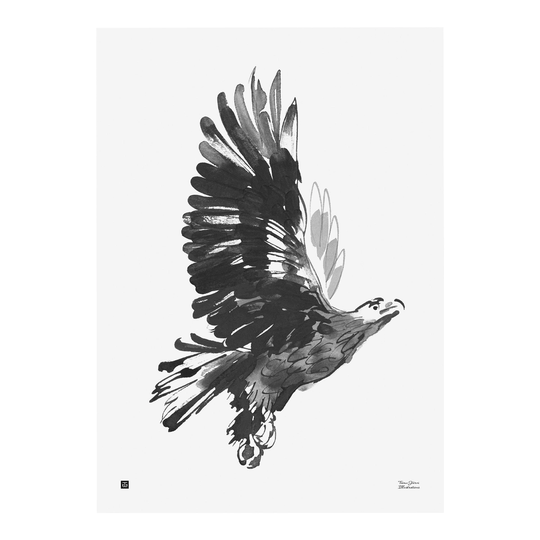 Teemu Järvi Illustrations Kotka juliste, 50 x 70 cm
