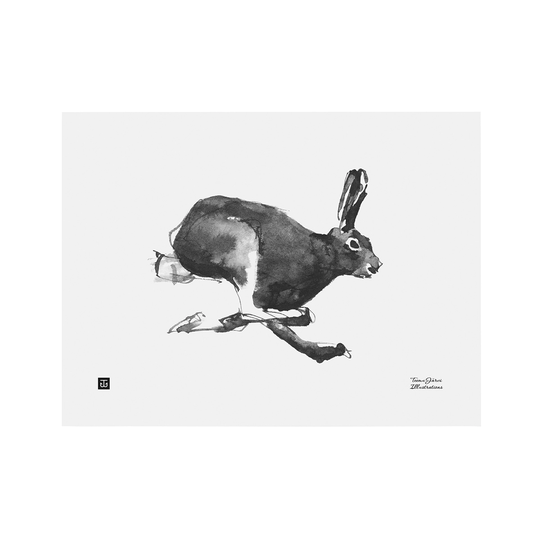 Teemu Järvi Illustrations Jänis juliste 40 x 30 cm