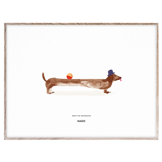 MADO Doug the Dachshund juliste, 40 x 30 cm