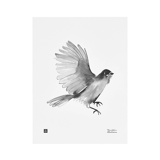 Teemu Järvi Illustrations Kuukkeli juliste, 30 x 40 cm
