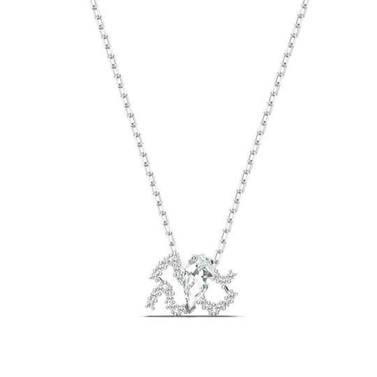 Swarovski Zodiac II Aquarius horoskooppiriipus, Vesimies