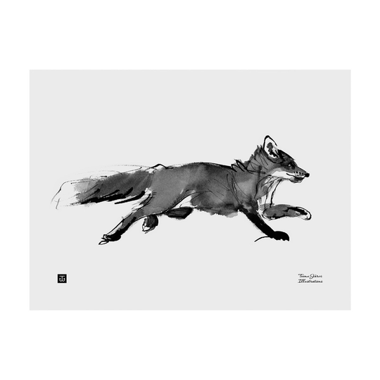 Teemu Järvi Illustrations Seikkaileva kettu juliste, 30 x 40 cm