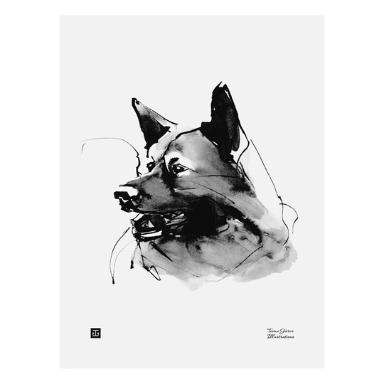 Teemu Järvi Illustrations Tutkimusretkeilijä juliste, 30 x 40 cm