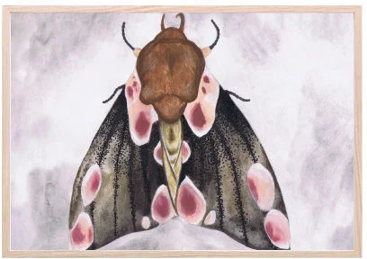 That's Mine Juliste A Moth's Beauty 30x40