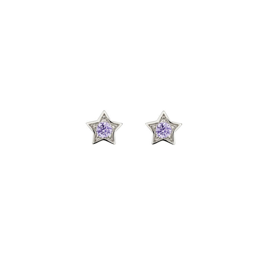 Lumoava Elämäntähti korvakorut, violetti L54228606100