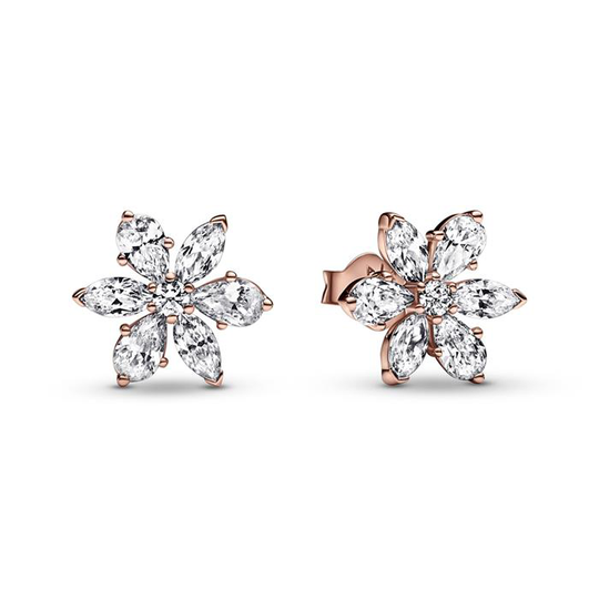 Pandora Timeless Sparkling Herbarium Cluster korvakorut 282407C01
