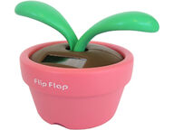 Flip Flap kukka