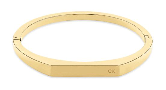 Calvin Klein Faceted Bar Bangle Ruostumaton Teräs Rannekoru 35000046