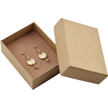 76223-2001 MSF Coin Hoops & Earstuds - Gift Set 1 set