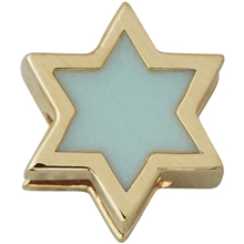 Design Letters Enamel Star Charm Gold Soft Green