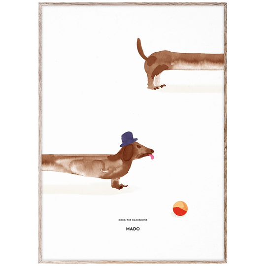 MADO Doug the Dachshund juliste, 50 x 70 cm