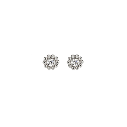 Lumoava Daisy korvakorut, kirkas L54228130000