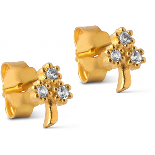 Enamel Clover Kullattu Hopea Korvakorut Ja Zirkonia E223GM