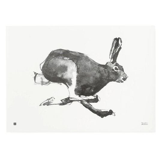 Teemu Järvi Illustrations Jänis juliste, 70 x 50 cm