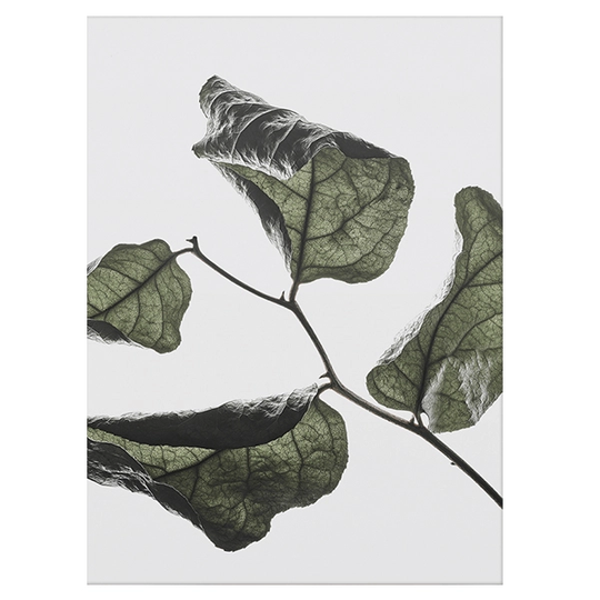Paper Collective Floating Leaves 03