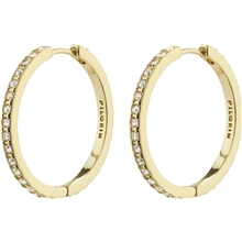 10231-2013 BE Crystal Hoop Earrings 1 set